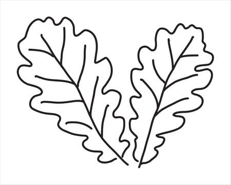 Leaves outline oak stock illustrations cliparts and royalty free leaves outline oak vectors