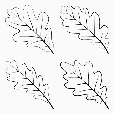 Set oak leaf black silhouette on white background vector