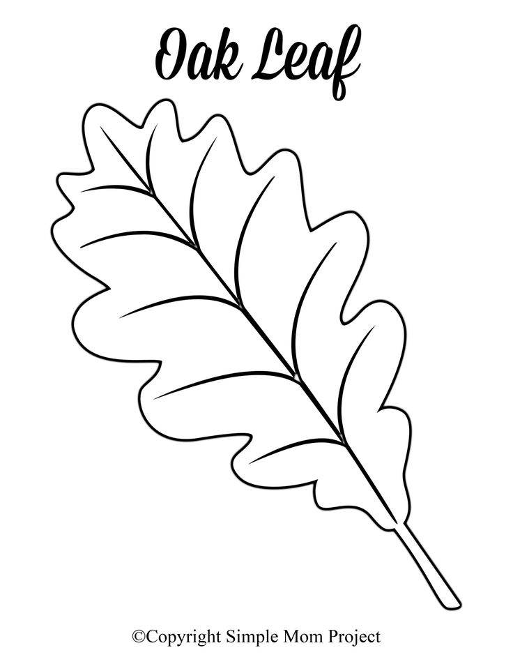 Free printable large leaf templates stencils and patterns leaf template leaf coloring page leaf stencil