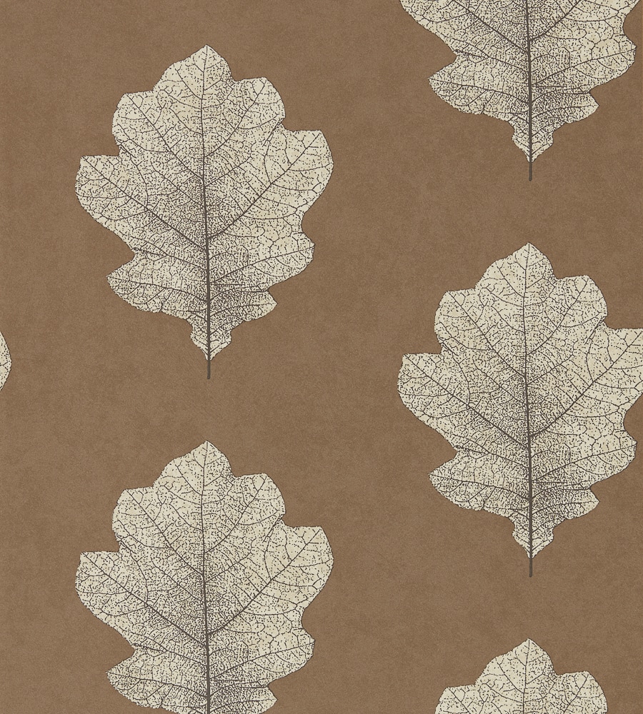 Download Free 100 + oak leaf wallpaper