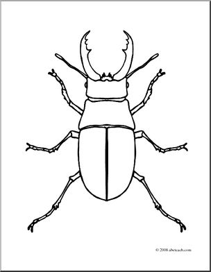 Clip art insects stag beetle coloring page i