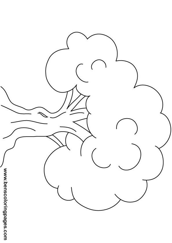 Oak tree coloring pages