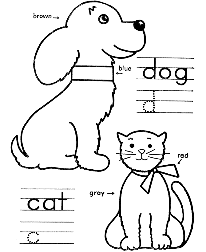 Coloring instructions coloring page objects to color by following the color numbers dog and cat coloring page activity sheet