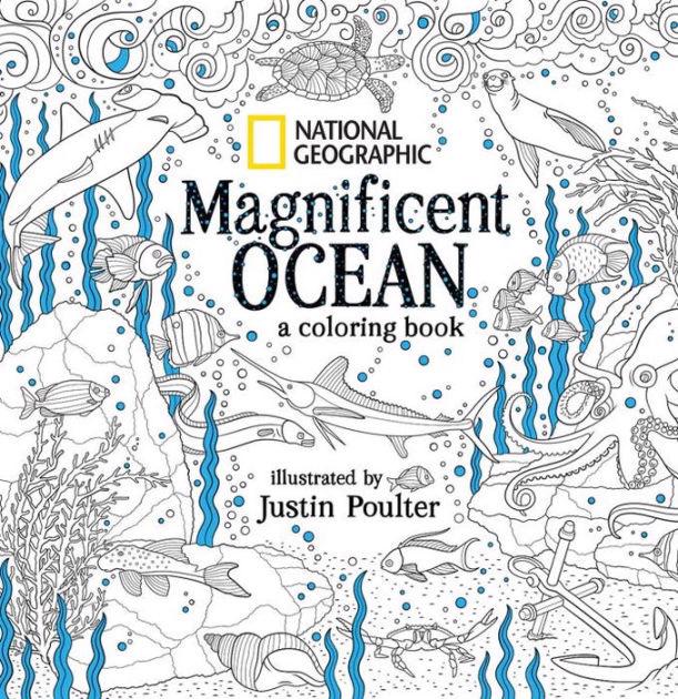 Magnificent ocean adult coloring book monterey bay aquarium store