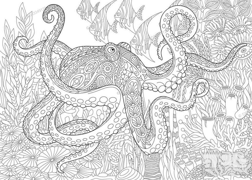 Coloring page for adult colouring book underwater background with octopus stock vector vector and low budget royalty free image pic esy