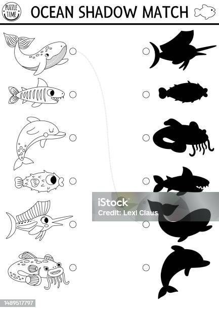 Under the sea black and white shadow matching activity ocean line puzzle with cute octopus squid jellyfish sponge find correct silhouette printable worksheet water animals coloring page stock illustration