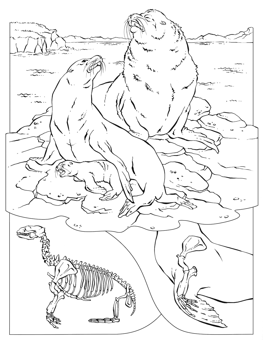 Coloring book animals a to i