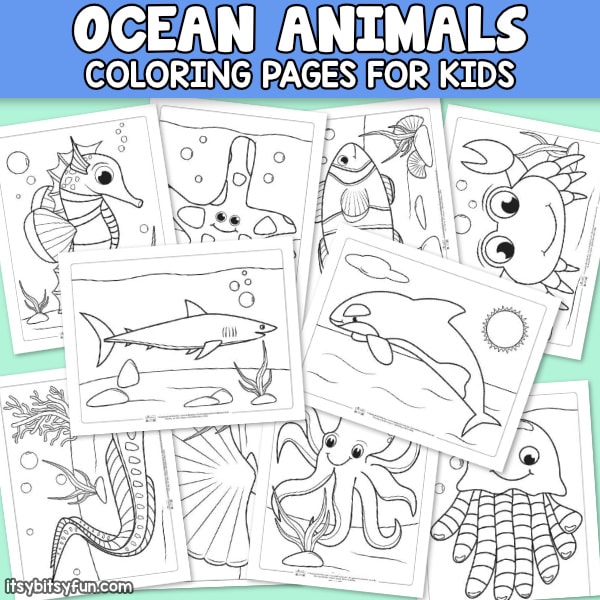 Ocean animals coloring pages archives