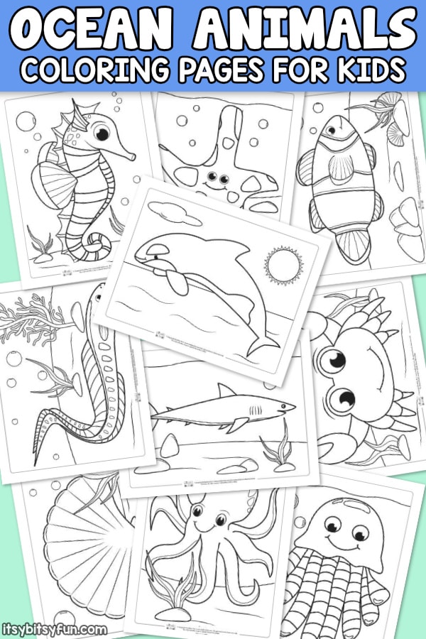 Ocean animals coloring pages for kids