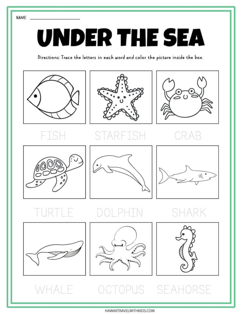 Sea animal worksheets and coloring pages