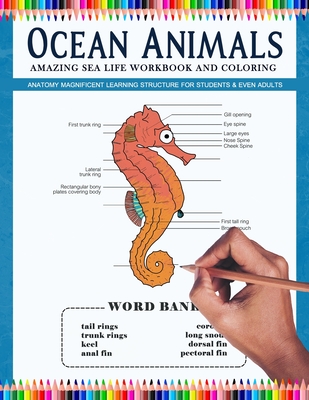 Ocean animals amazing sea life workbook and coloring
