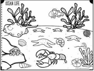 Ð free printable ocean coloring pages