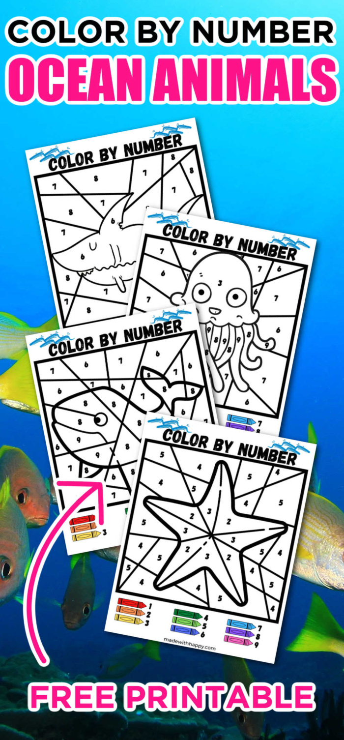 Color by number ocean animals