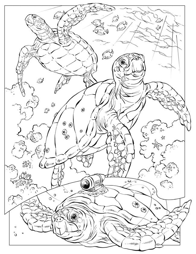 Free printable ocean coloring pages for kids