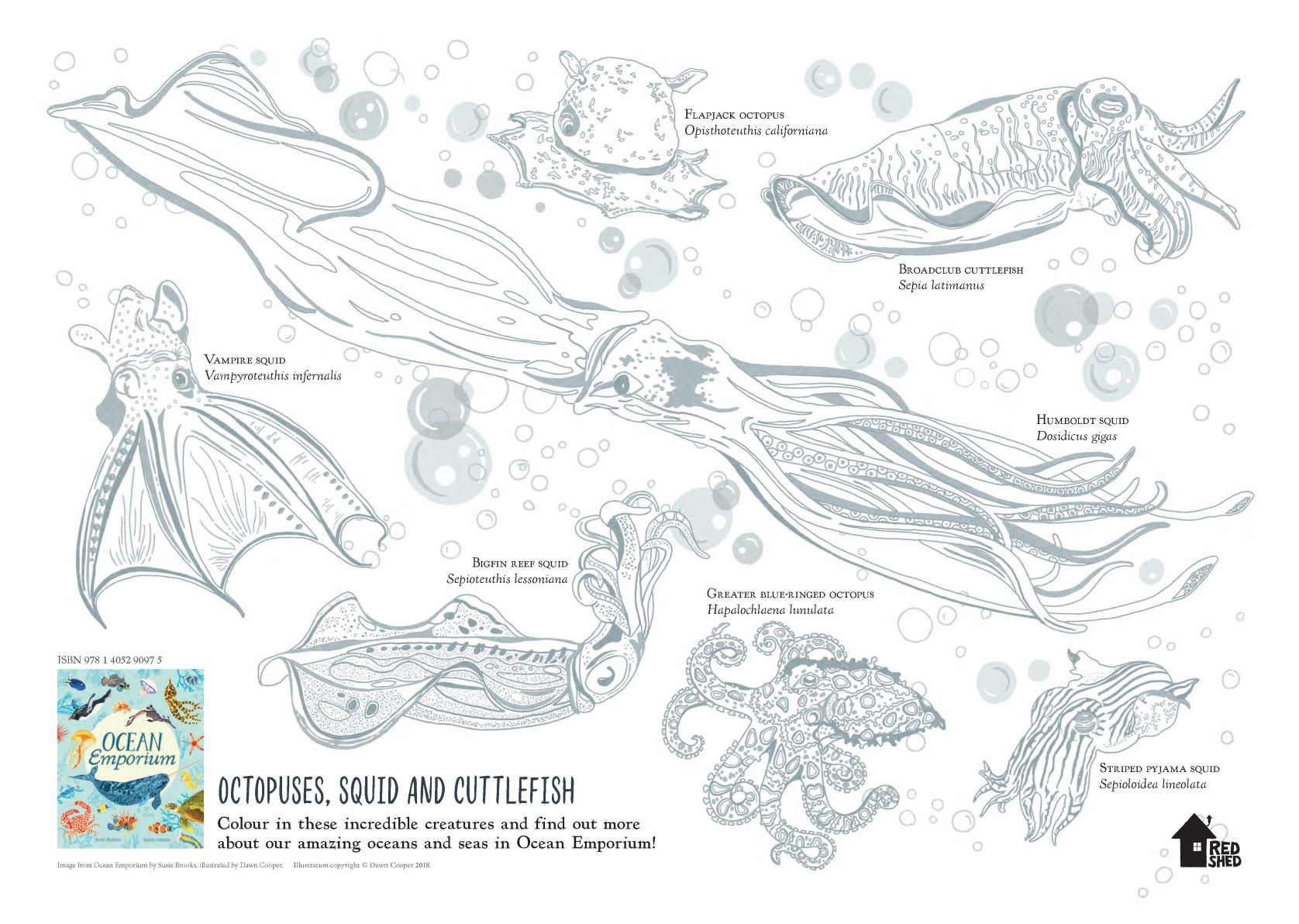 Ocean emporium louring sheet