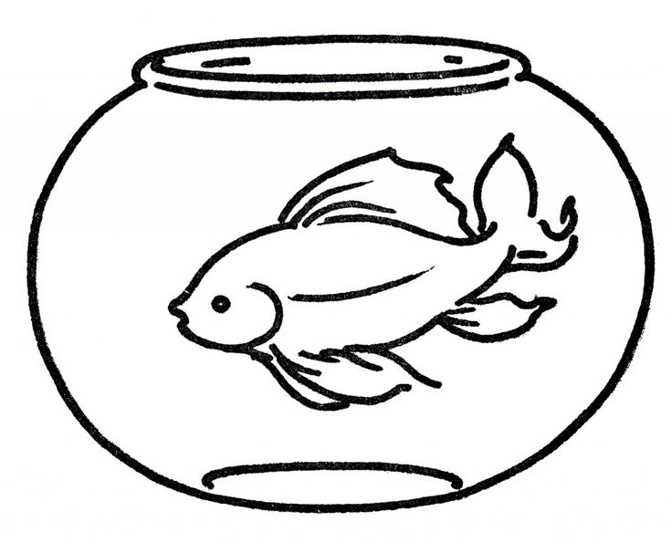 Sea animals printable coloring pages fish coloring page ocean coloring pages goldfish