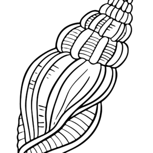 Sea snail coloring pages printable for free download