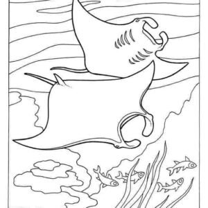 Stingray coloring pages printable for free download