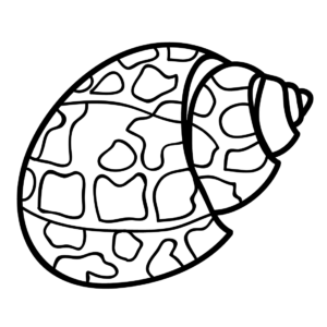 Sea snail coloring pages printable for free download