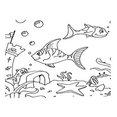 Best free printable ocean coloring pages online