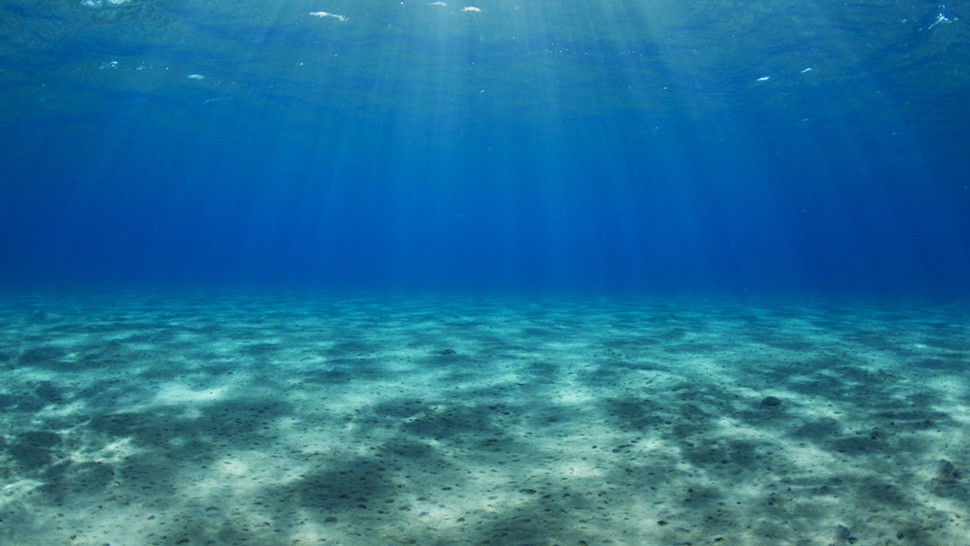 Del ocean. Дно океана. Океан под водой. Море глубина. Морские глубины.