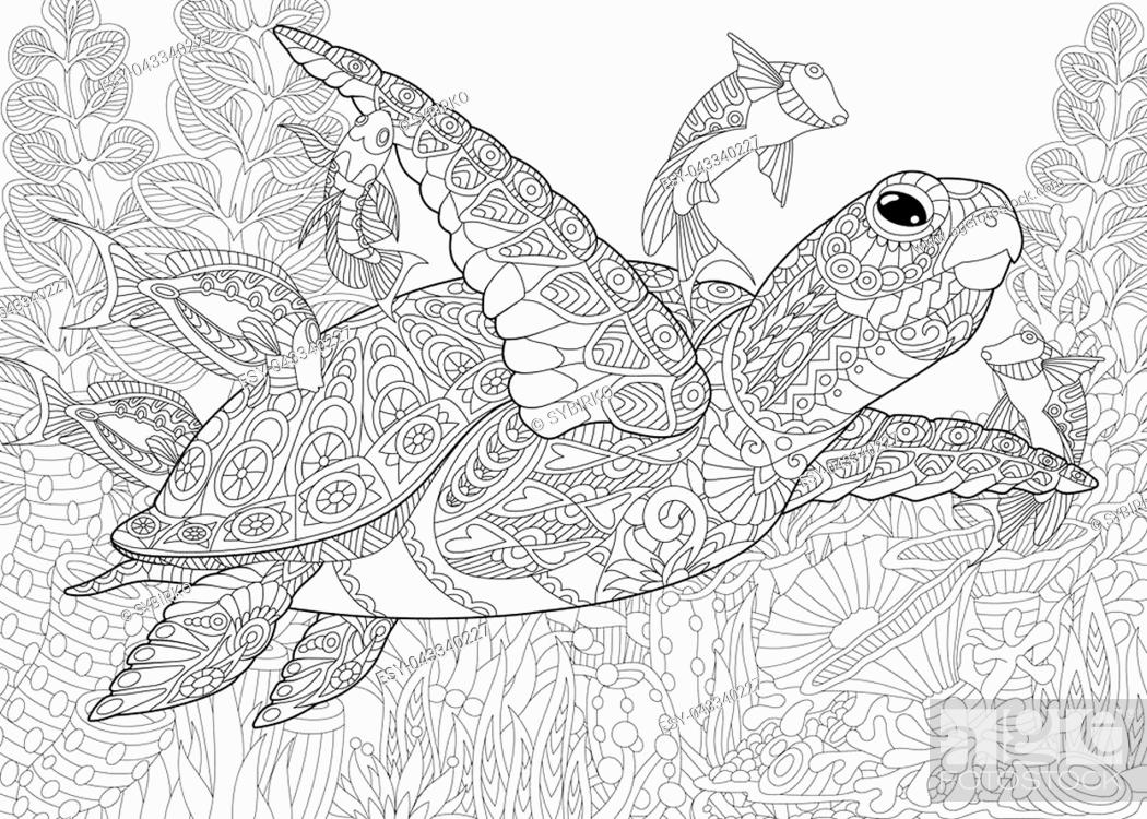 Coloring page for adult colouring book underwater background with turtle stock vector vector and low budget royalty free image pic esy