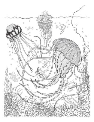 Free printable adult coloring pages ocean