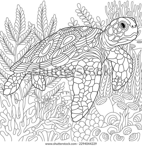 Turtle coloring book images stock photos d objects vectors