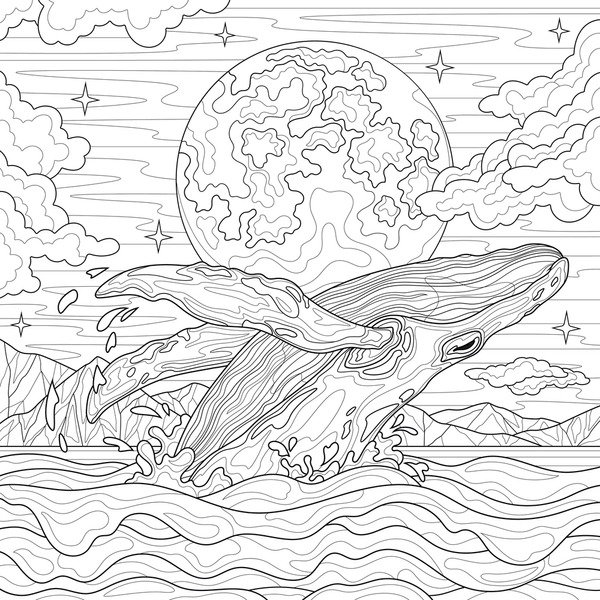 Adult coloring book ocean images stock photos d objects vectors