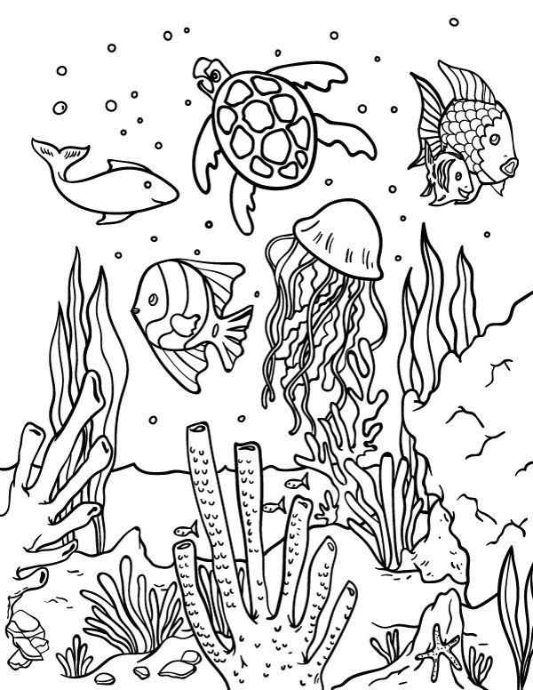 Free printable ocean coloring page download it from httpsmuseprintablesdownloadcoloringâ ocean coloring pages fish coloring page animal coloring pages