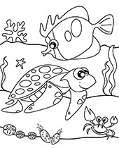 Water animals coloring pages for children