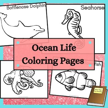 Ocean life coloring sheets with sea animals and plants tpt