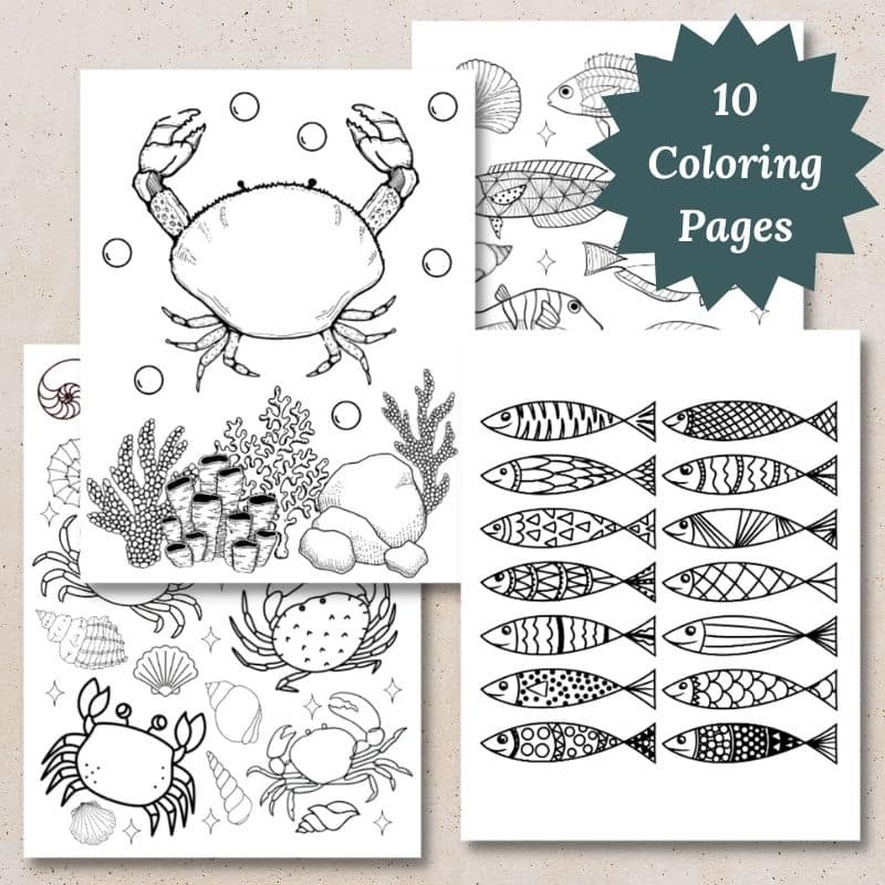 Free printable ocean coloring pages