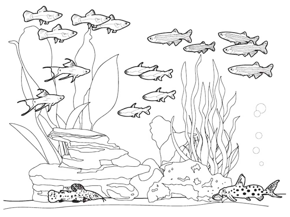 Free printable ocean coloring pages for kids