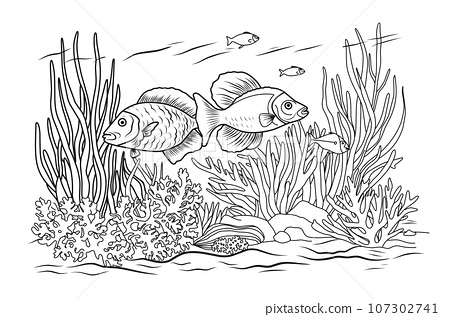 Ocean bottom coloring page with fish and algae