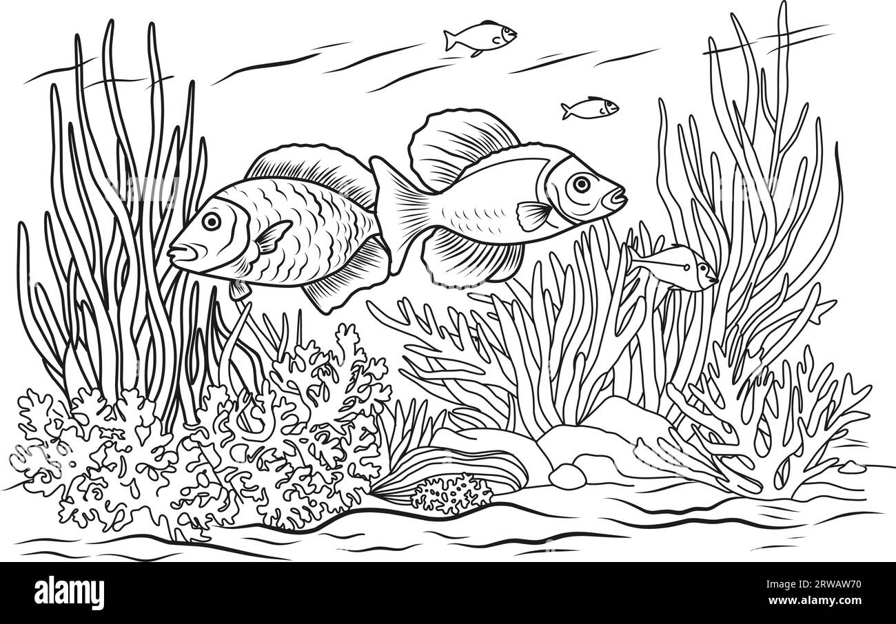 Ocean bottom coloring page with fish and algae sea life coloring book stock vector image art