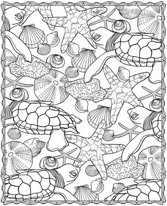 Free printable ocean coloring pages for kids adult coloring pages turtle coloring pages ocean coloring pages