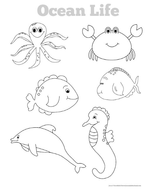 Free printable ocean life coloring pages fun under the sea ocean coloring pages under the sea animals coloring pages