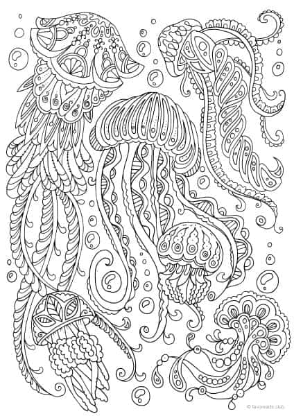 Ocean life â jellyfish â favoreads coloring club