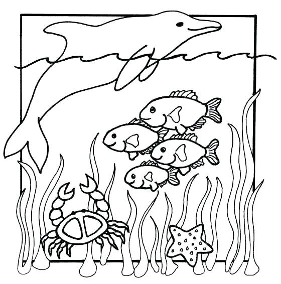 Free printable ocean coloring pages for kids