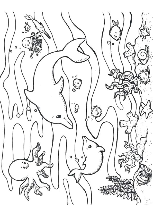 Free printable ocean coloring pages for kids