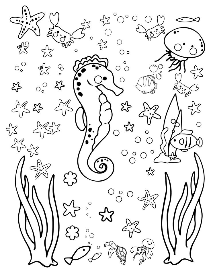 Prtable sea animals colorg pages jpgpdf pg