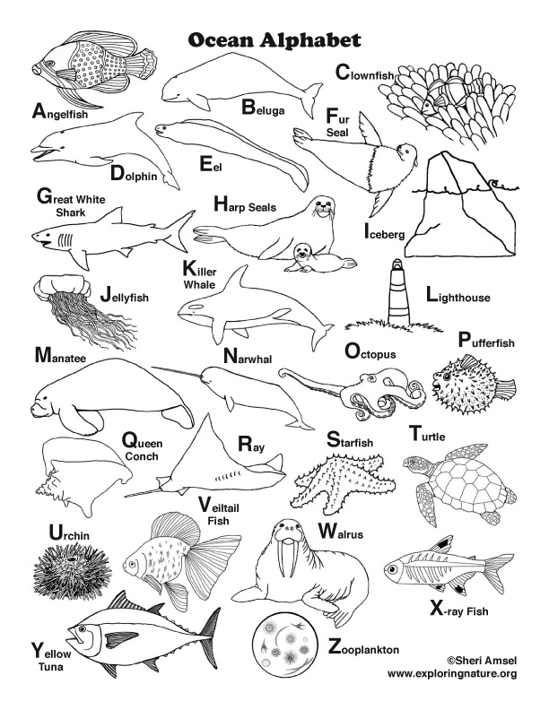 Ocean alphabet coloring