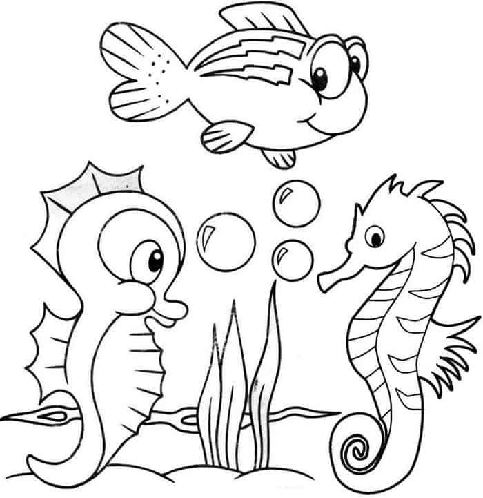 Printable seahorse coloring pages pdf detailed coloring pages ocean coloring pages coloring pages