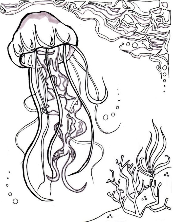 Jellyfish coloring pages pdf