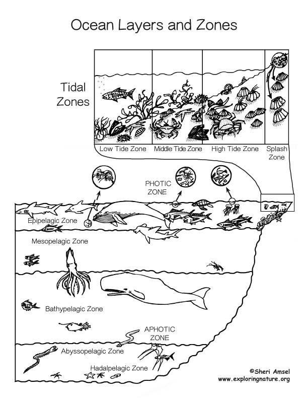 Ocean layers coloring page