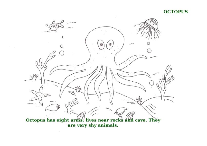 Ocean animals printable coloring pages for kids