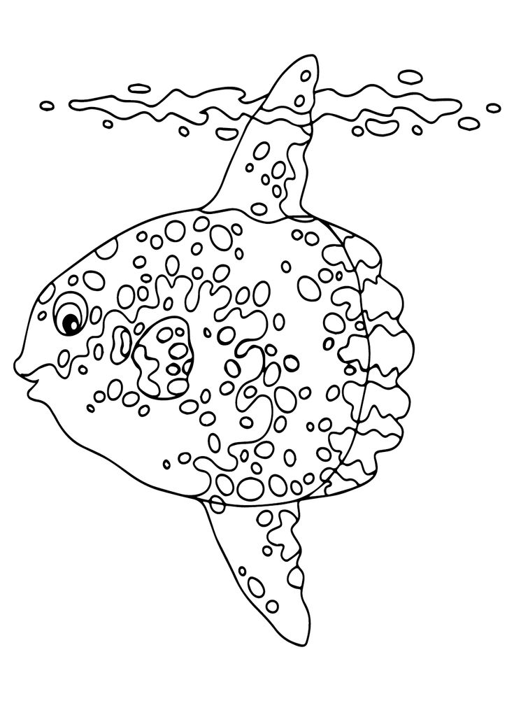 Ocean sunfish coloring pages