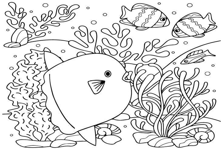 Ocean sunfish coloring pages