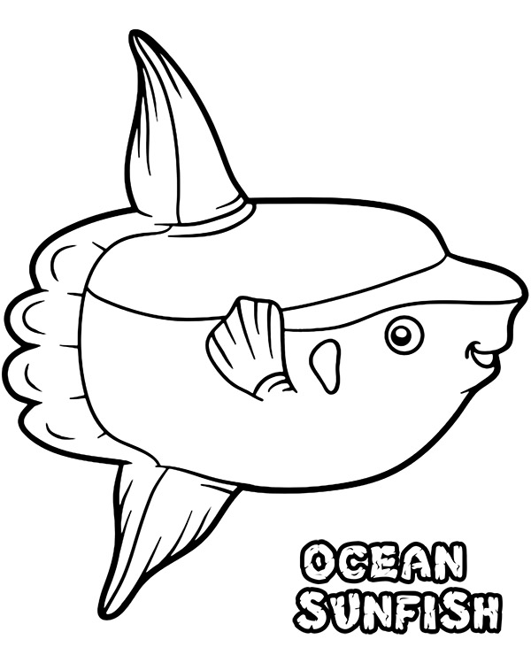 Ocean sunfish coloring page